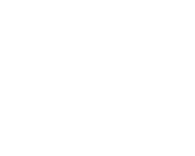 icon light bulb